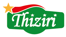 logo thiziri